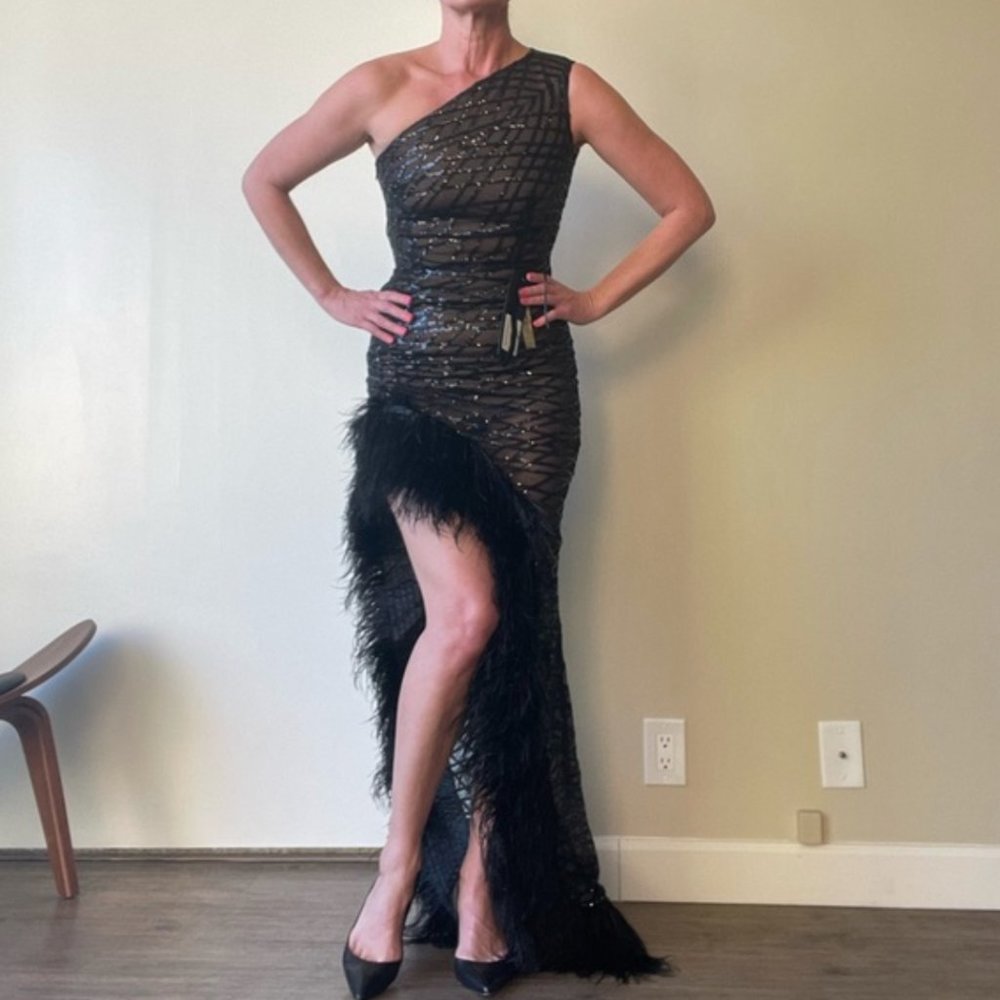 Bronx and Banco Feather Dress Lola NEW $1,300 Sz 4 - Picture 4 of 4